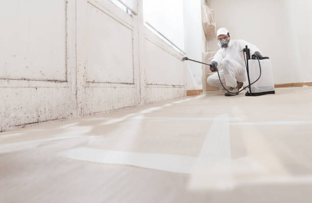 24/7 Emergency Commercial Mold Remediation experts in Columbia, PA