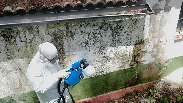 Top rated local Commercial Mold Remediation specialists in Columbia, PA